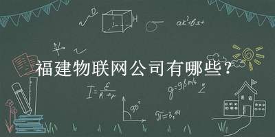 福建物聯網公司